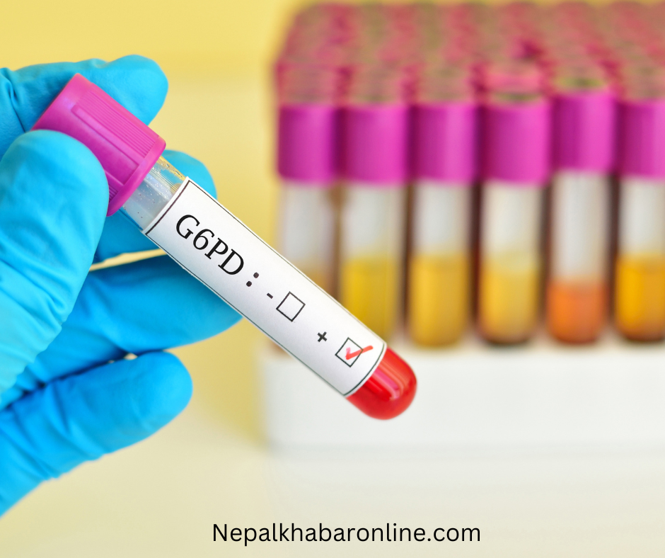 G6PD test blood sample
